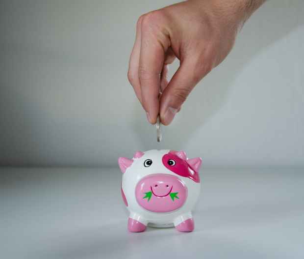 pink and white ceramic pig coin bank